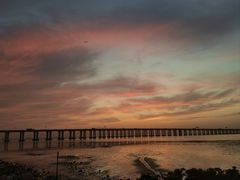 -宝安西湾红树林湿地公园