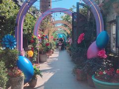 -The Grounds of Alexandria