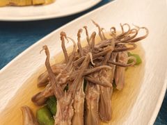 -圆苑(静安寺店)