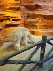 -酷嗒动物文化乐园(cutezoo西溪乐天城店)