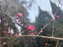 -南阳卧龙岗武侯祠