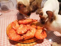 -南沙十九涌渔人码头-南门