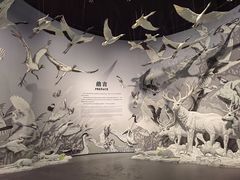 -中国湿地博物馆