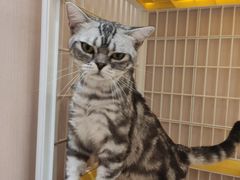 -藏猫猫咖啡主题馆(中央大道店)