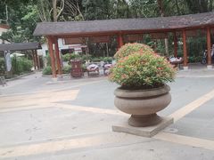 -碧水湾温泉