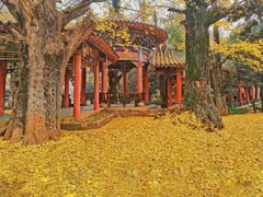 -华雅花园大酒店