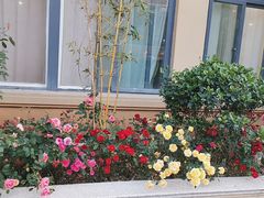 -香山湖渔家大院