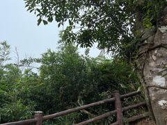 -海南铜鼓岭景区