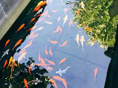 -老北京风情街
