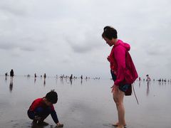 -南汇嘴观海公园