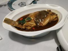 红烧河豚-肆月河豚·新淮扬(金融街店)
