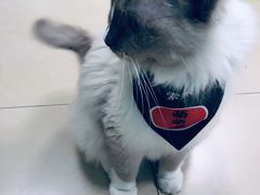 -美迦爱-牙专科·兔科·骨科诊疗中心(北苑店)