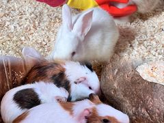 -正佳雨林生态植物园
