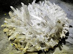 -正佳自然科学博物馆