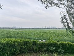 -天津东丽湖风景区