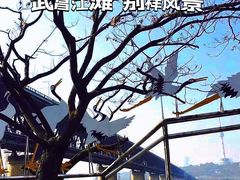 -武昌江滩