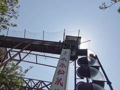 -欢乐松鼠谷