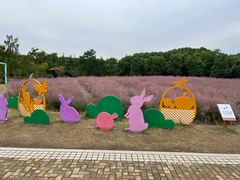 -同里国家湿地公园