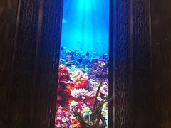 -青岛颐海花园酒店总店·自助餐厅