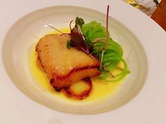 味噌烤黑鳕鱼-蝶舍·MAISON PAPILLON