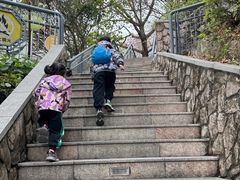 -佛山华盖山公园