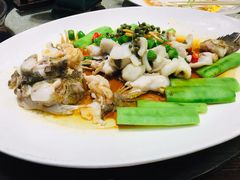 鲜花椒蒸桂花鲈-猪肉婆私房菜(容桂总店)