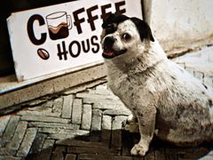 -观桥阁(锦溪店)