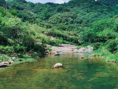 -武汉姚家山旅游景区