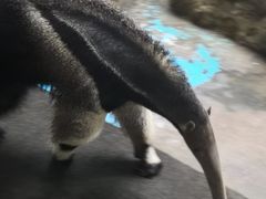 -济南野生动物世界