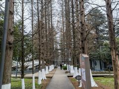 -花溪公园