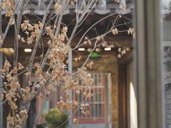 -VOYAGE COFFEE(杨梅竹店)