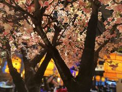 -绿茶餐厅(松江万达店)