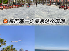 -小巴塞罗那海滩