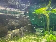 -江和美海洋公园