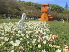 -苏州上方山国家森林公园
