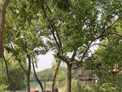 -西溪国家湿地公园