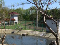 -宿豫区运河湾森林动物园