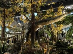 -湖南省地质博物馆