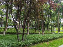 -重庆市江北嘴中央商务区中央公园