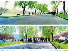 -北山街历史文化街区