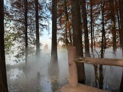 -东湖落雁景区