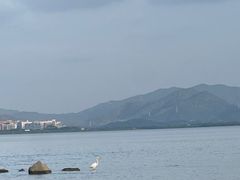 -深圳湾公园(南山区)