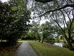 -上海共青森林公园