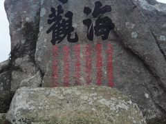 -枸杞岛