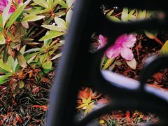 -也枫·小黄楼(南山路旗舰店)