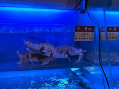 -協成海鮮火鍋(老店)