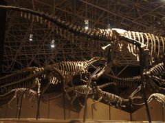 -世界恐龙谷景区