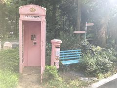 -东平国家森林公园