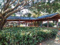 -金山公园