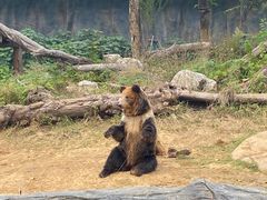 -武汉动物园